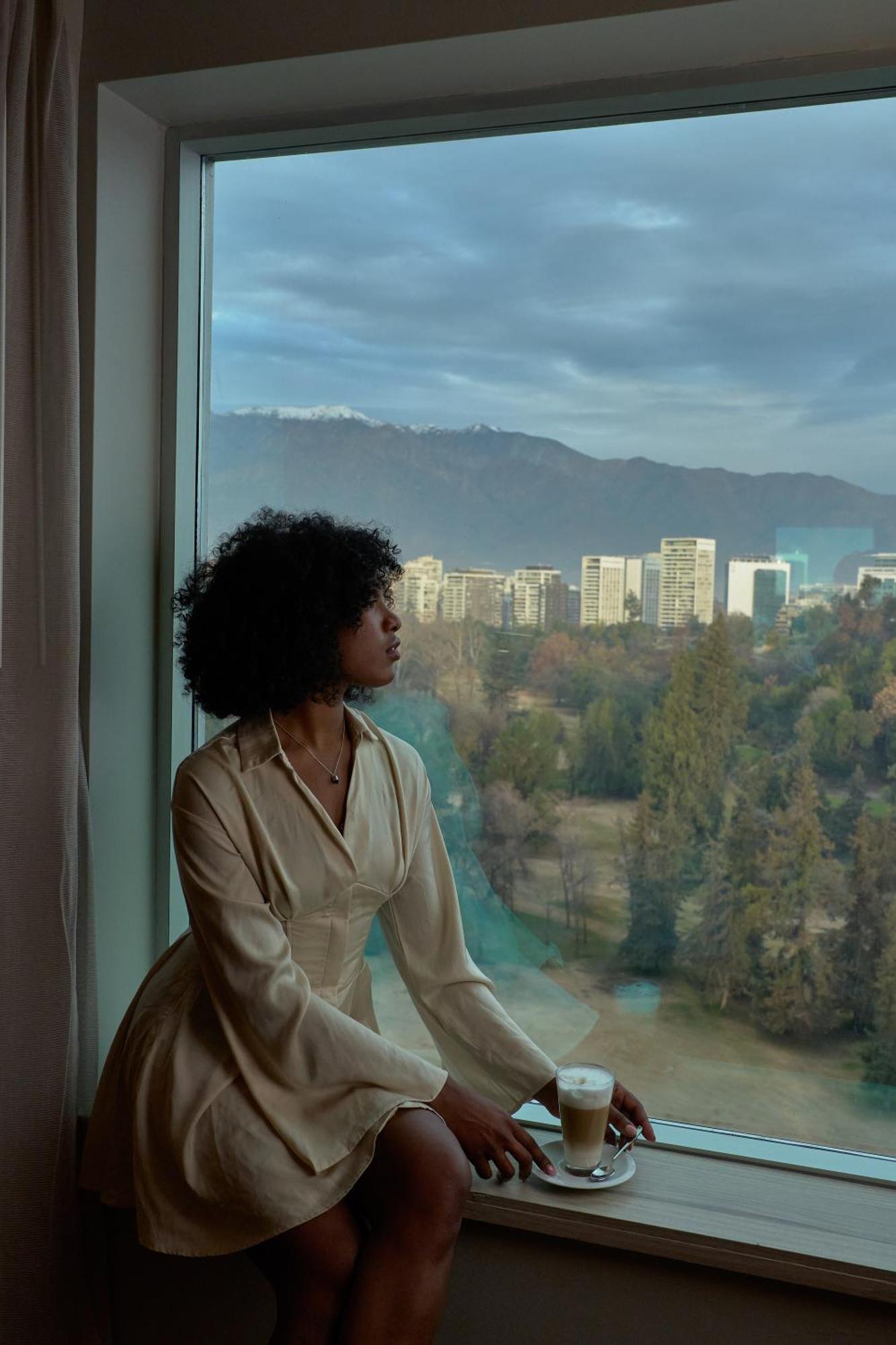 Pullman Santiago Vitacura Bagian luar foto A woman with natural hair